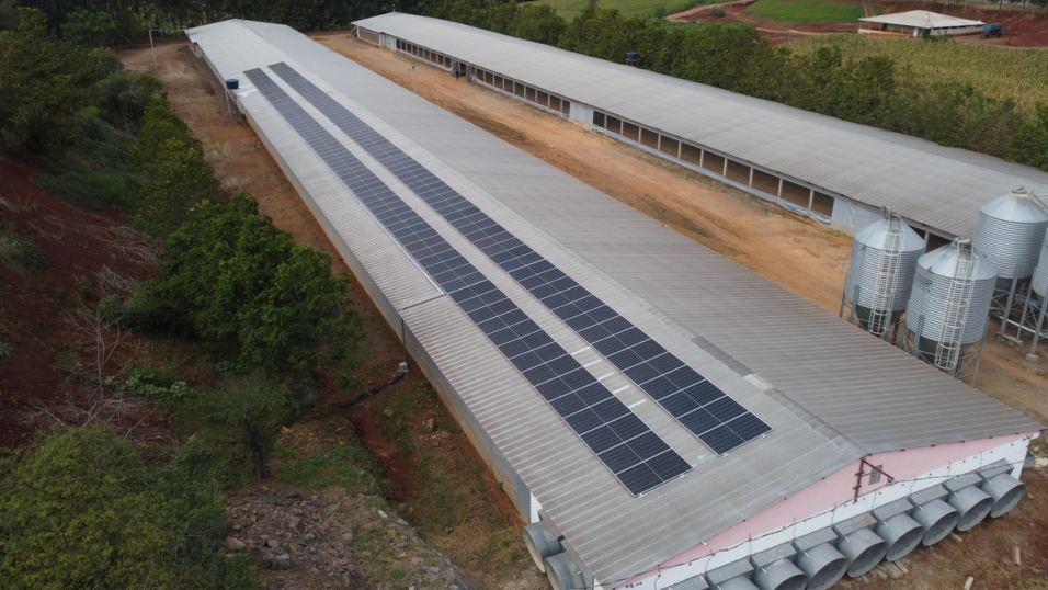 Sistema solar rural